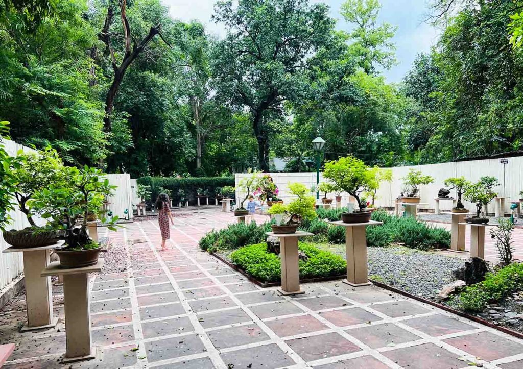 Nat.Bonsai Park, Lodhi Gardens, New Delhi, India